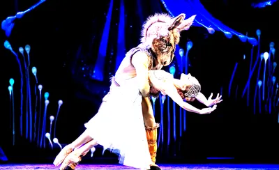 A Midsummer Night's Dream - Ballet