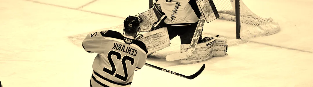 Hartford Wolf Pack
