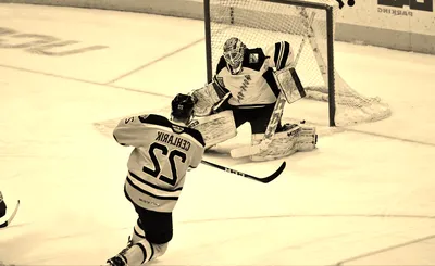 Hartford Wolf Pack