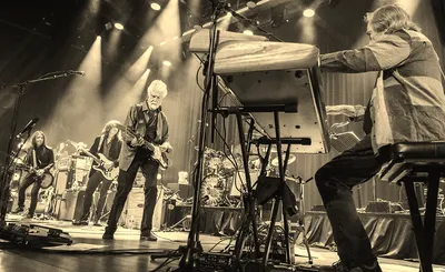 Little Feat