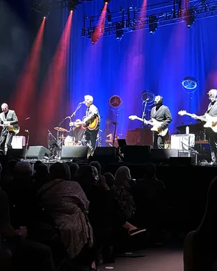 Los Straitjackets