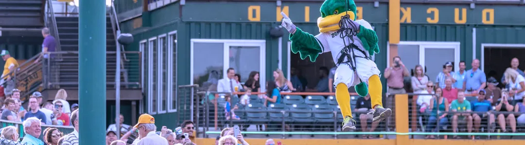 Madison Mallards