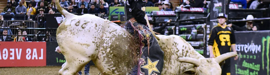 Pro Bull Riding