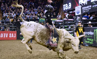 Pro Bull Riding