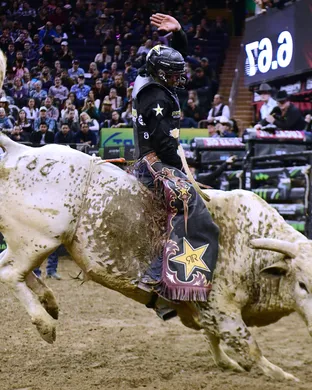 Pro Bull Riding