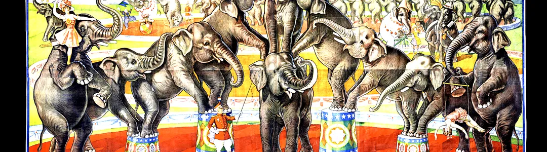 Ringling Bros. and Barnum & Bailey Circus
