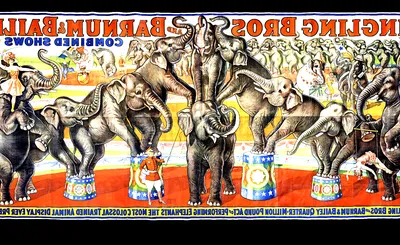 Ringling Bros. and Barnum & Bailey Circus