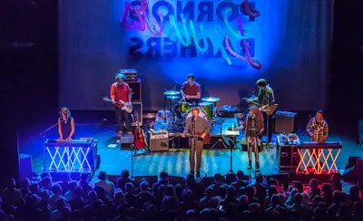 The New Pornographers