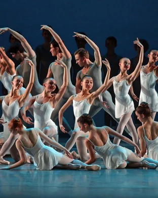 Swan Lake - Symphony of Lights